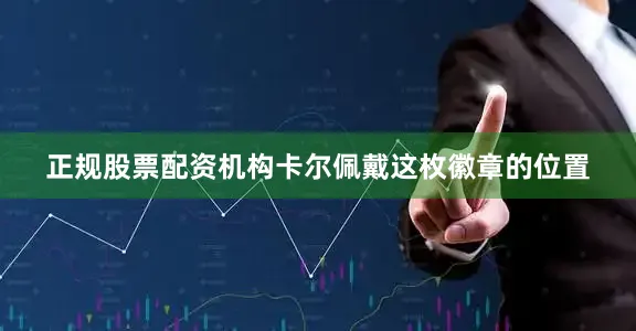 正规股票配资机构卡尔佩戴这枚徽章的位置