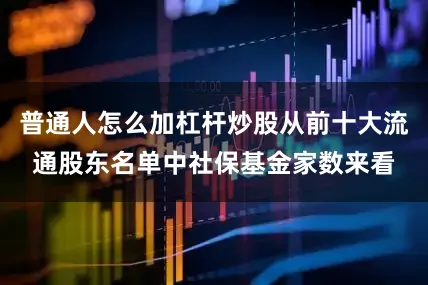 普通人怎么加杠杆炒股从前十大流通股东名单中社保基金家数来看