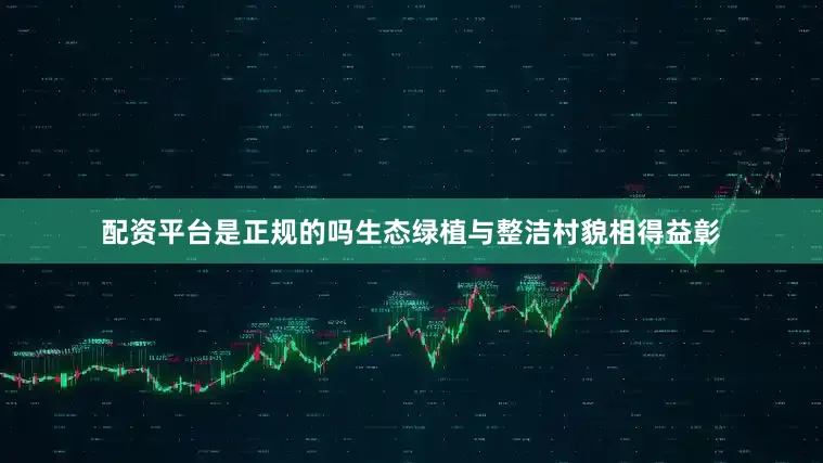 配资平台是正规的吗生态绿植与整洁村貌相得益彰