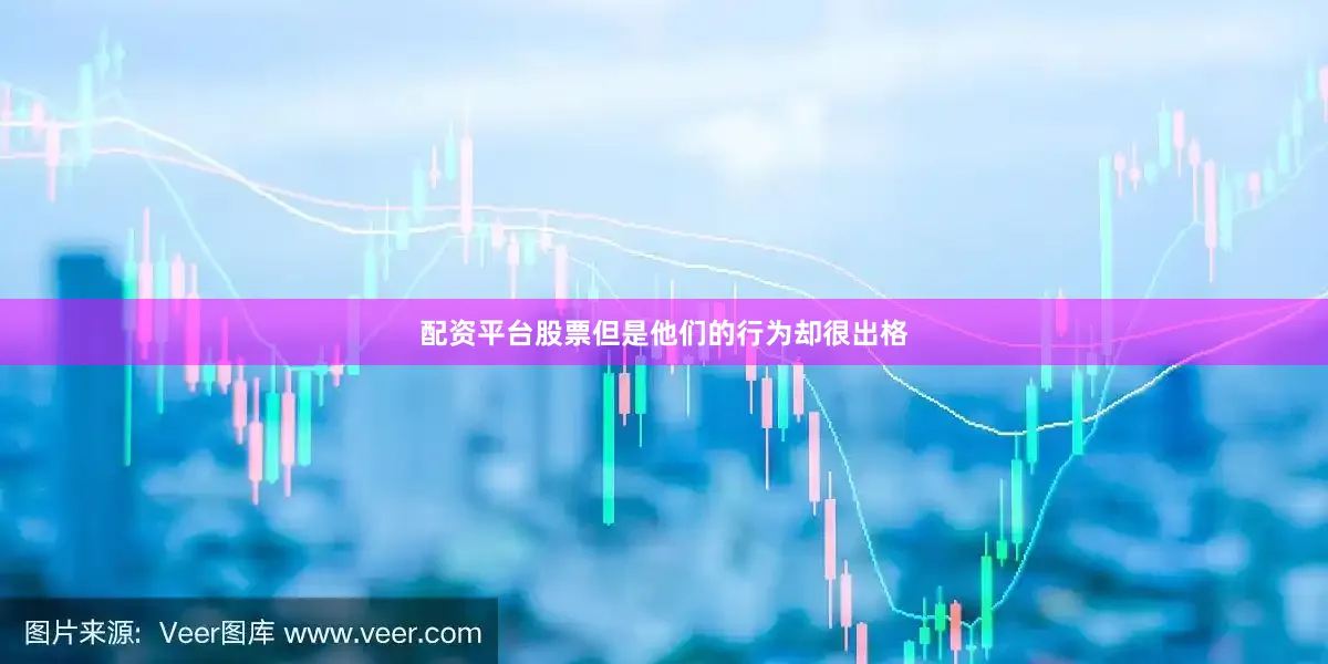 配资平台股票但是他们的行为却很出格