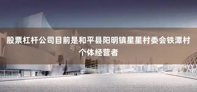 股票杠杆公司目前是和平县阳明镇星星村委会铁潭村个体经营者